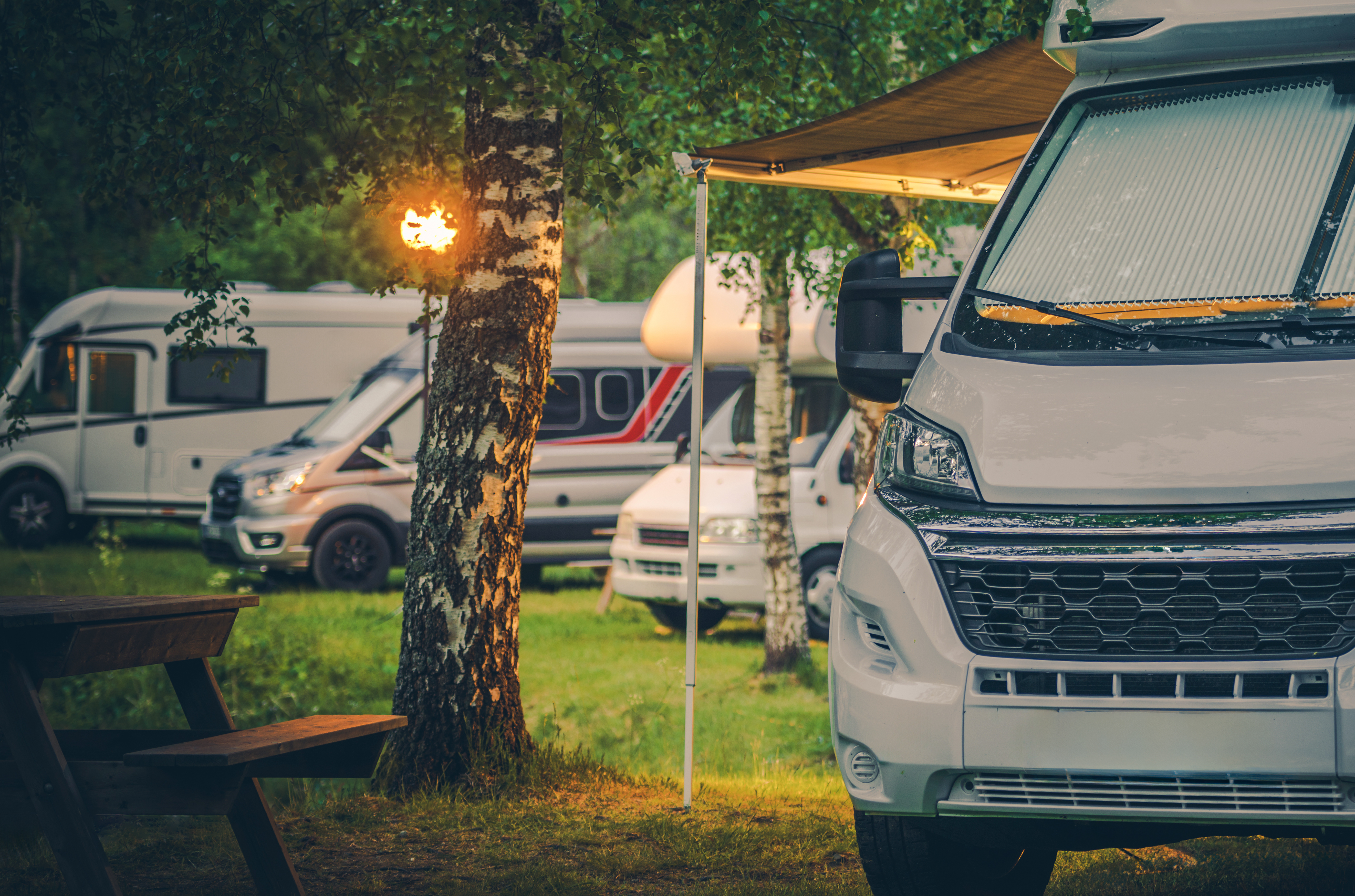 Camper vans and recreational vehicles parked at a wooded campground